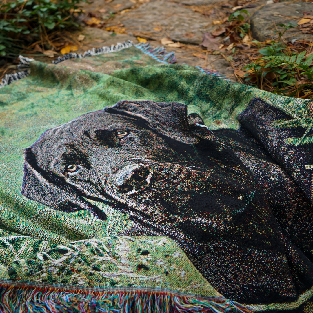 60" x 50" Small Woven Throw | Landscape