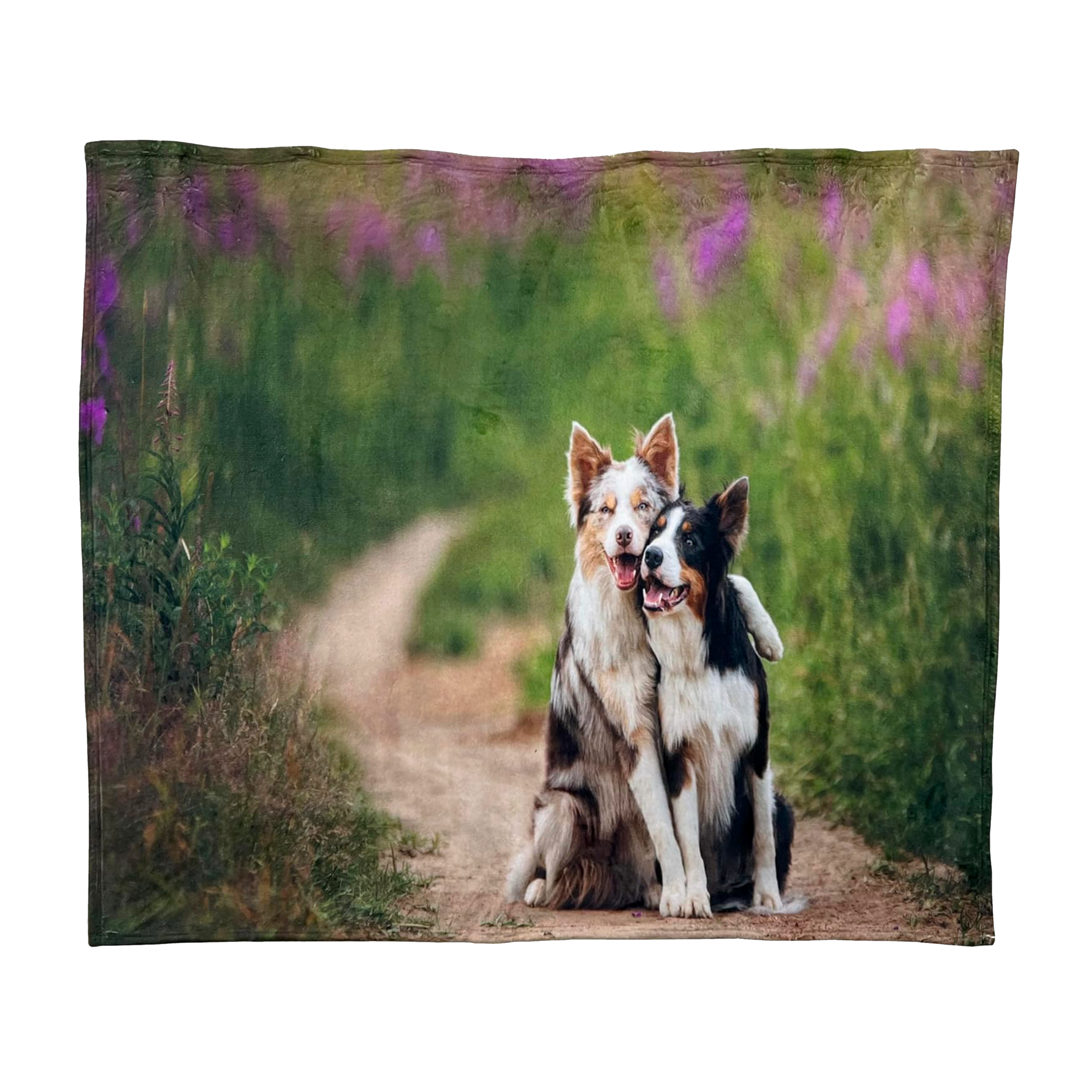 Untitled_Artwork1.png