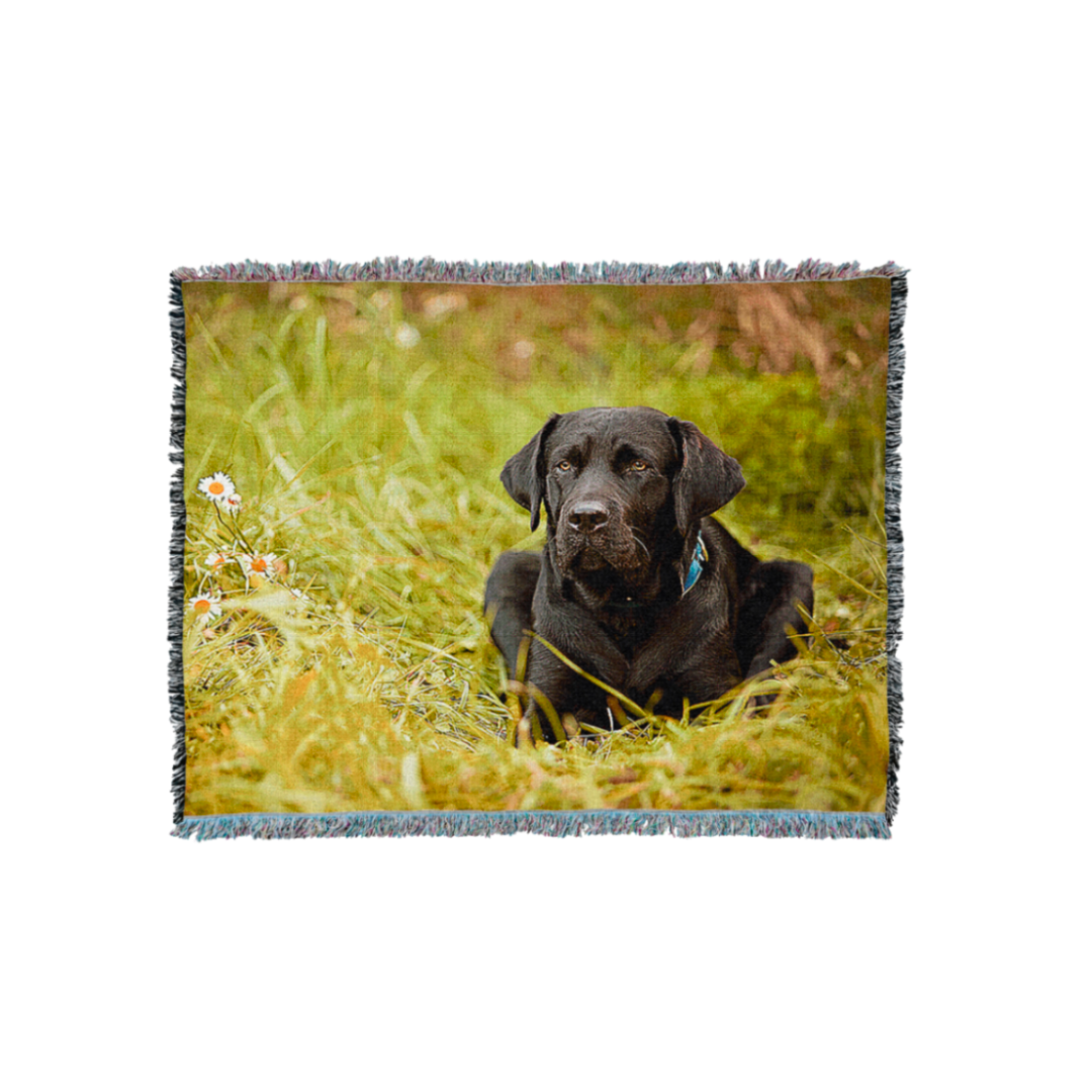 Untitled_Artwork2_ccb4c3fa-2272-4f37-9706-d9957d5a76b5.png